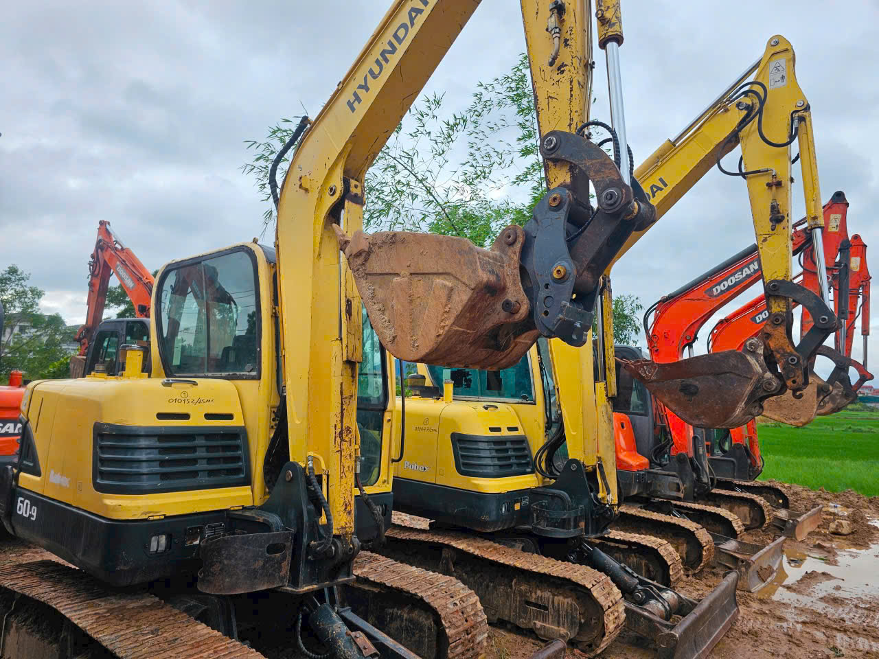 bao-gia-may-xuc-tai-ha-long